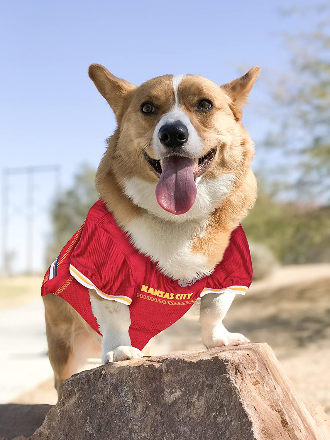 NFL AFC West Mesh Jersey for Dogs, Medium, Kansas City Chiefs