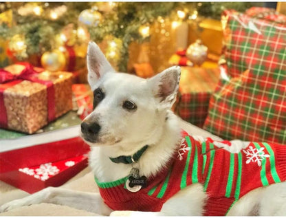 Festive Dog Snow Sweaters - Perfect Xmas & Holiday Gear for Small Dogs and Cats (Snowman, L)