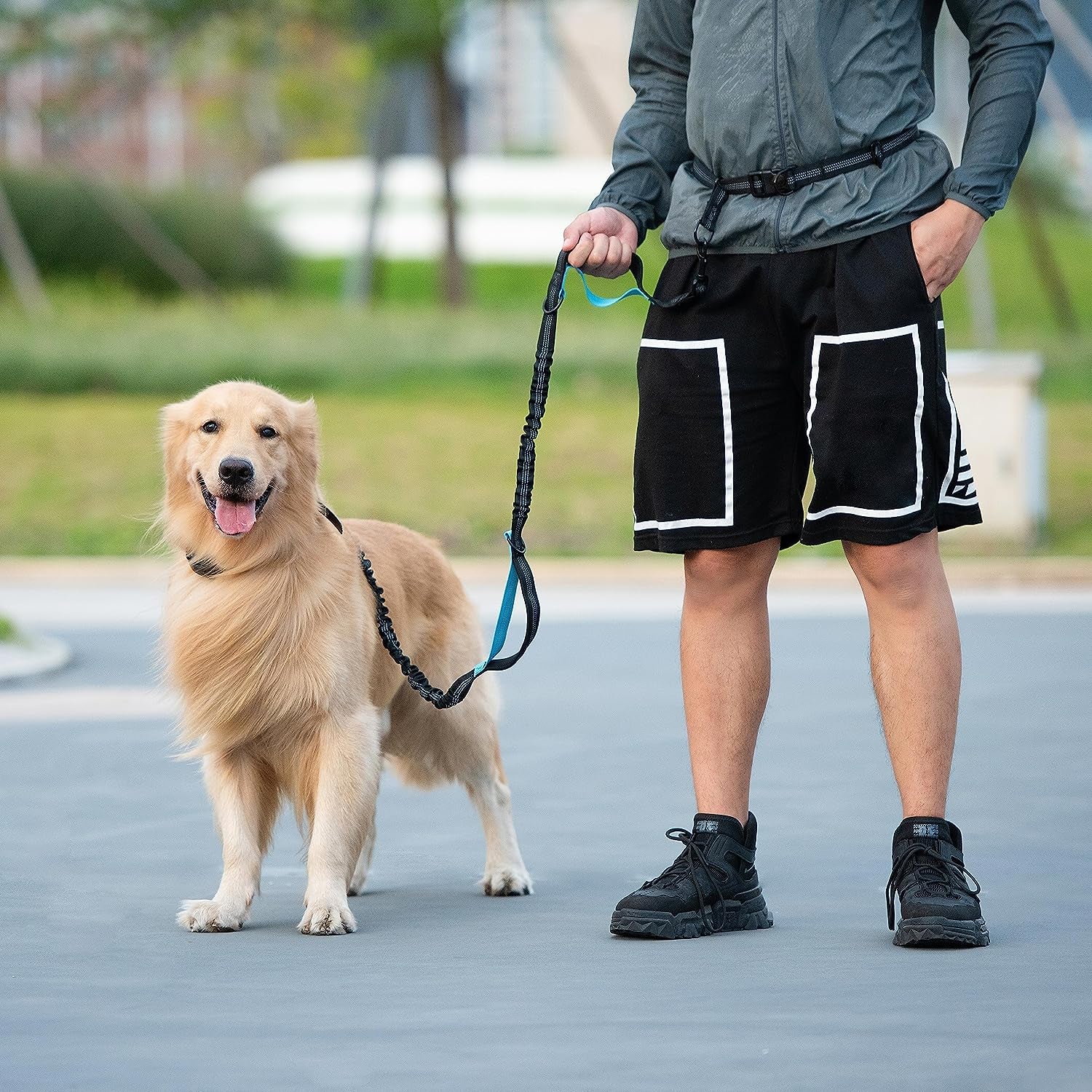 Hands Free Dog Leash with Zipper Pouch, Medium, 8-25 Lbs, Black | Waist Leash, Dual Padded Handles, Shock-Absorbing Bungee, Adjustable Waist Belt, Walking and Running