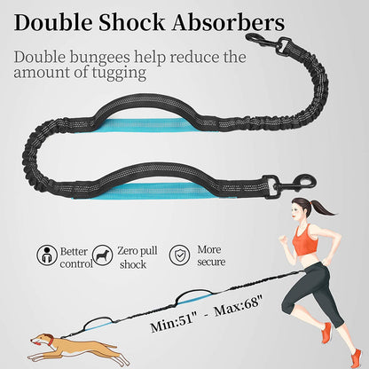 Hands Free Dog Leash with Zipper Pouch, Medium, 8-25 Lbs, Black | Waist Leash, Dual Padded Handles, Shock-Absorbing Bungee, Adjustable Waist Belt, Walking and Running