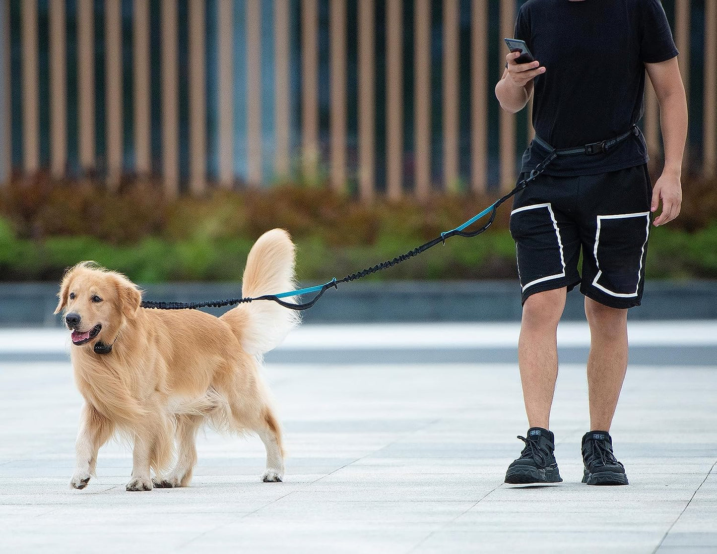 Hands Free Dog Leash with Zipper Pouch, Medium, 8-25 Lbs, Black | Waist Leash, Dual Padded Handles, Shock-Absorbing Bungee, Adjustable Waist Belt, Walking and Running